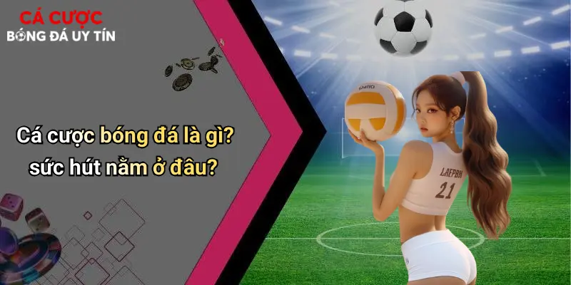 Cá cược bóng đá là gì? sức hút nằm ở đâu?