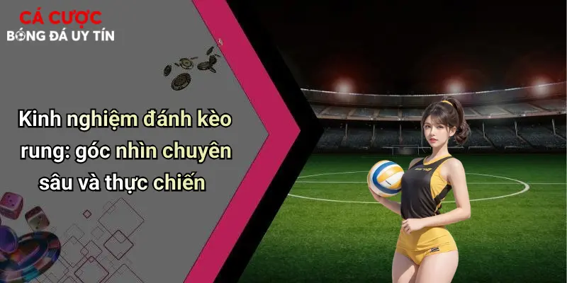 Kinh nghiệm đánh kèo rung: góc nhìn chuyên sâu và thực chiến