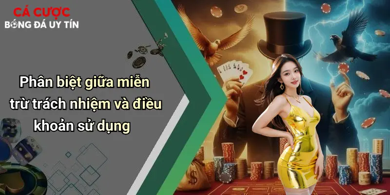 Phân biệt giữa miễn trừ trách nhiệm và điều khoản sử dụng