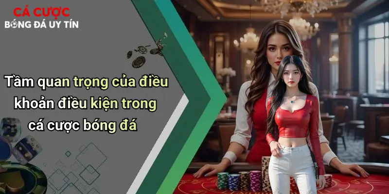 Tầm quan trọng của điều khoản điều kiện trong cá cược bóng đá