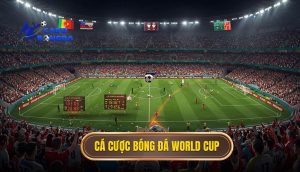 cá cược bóng đá World Cup