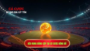 Kèo rung đẳng cấp tại CÁ CƯỢC BÓNG ĐÁ