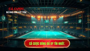 Cá cược bóng đá uy tín nhất.
